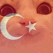 madbin image