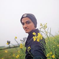 a picture
