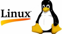 Linux İşletim Sistemi