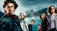 Harry Potter Testi